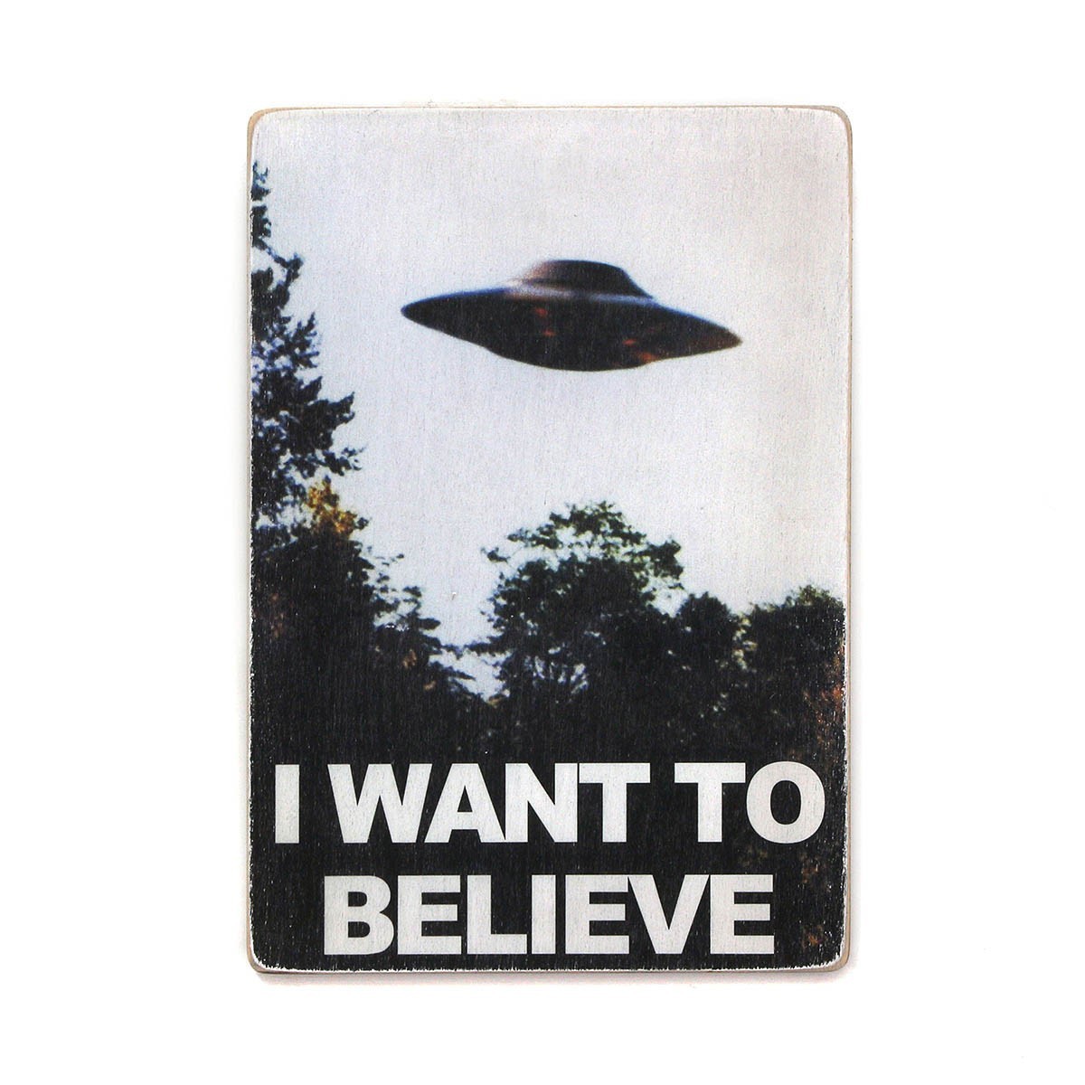 Постер 'The X-Files. I want to believe'