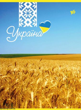 Зошит А-4 тверда обкладинка, 96 арк., офсет, клітинка,...