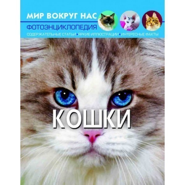Мир вокруг нас. Кошки
