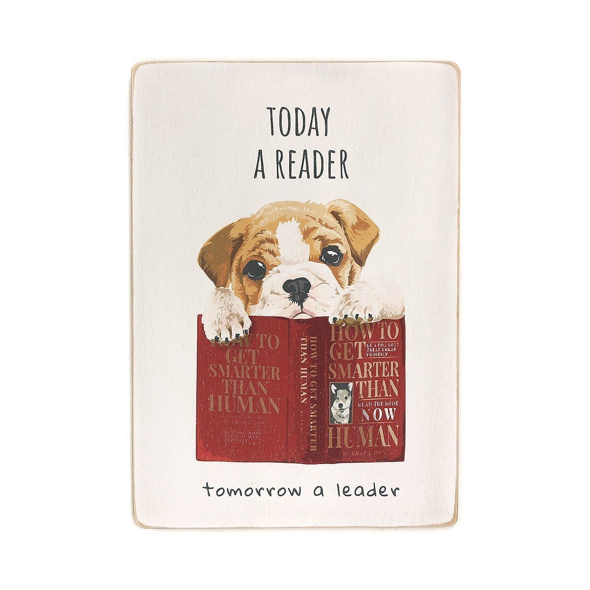 Постер 'Today a reader, tomorrow a leader'