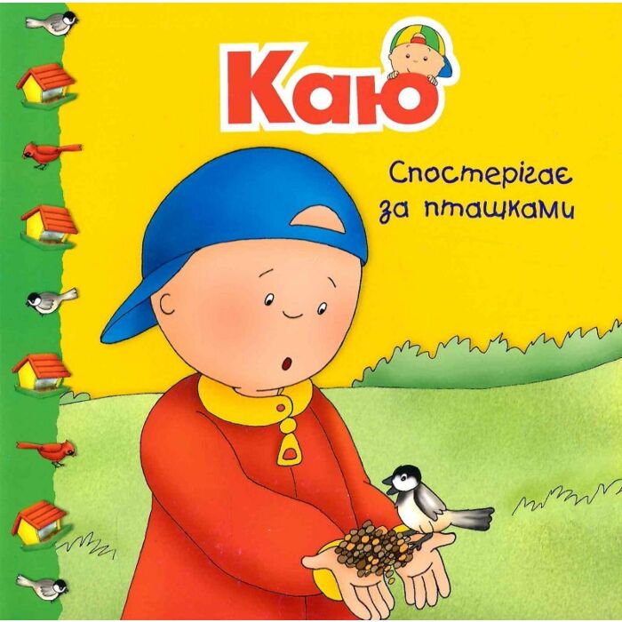Каю спостерігає за пташками. Мої історії
