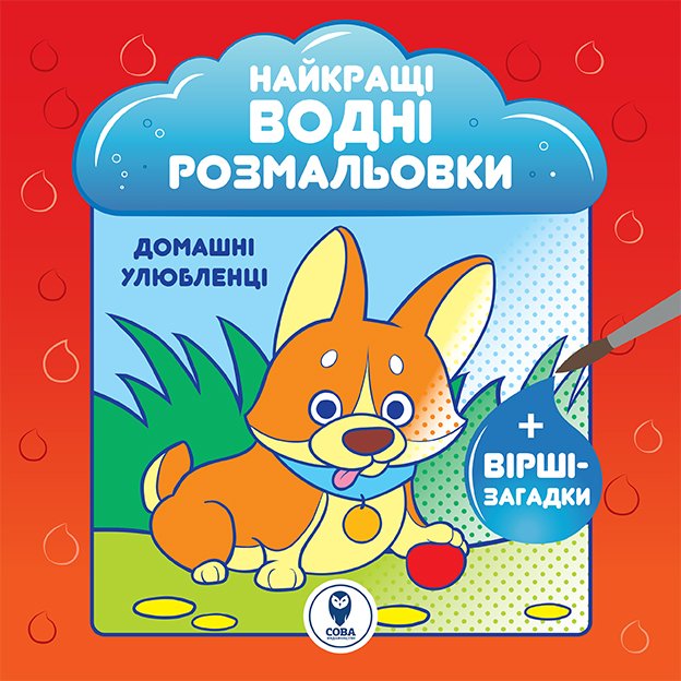 Розмальовка водяна. НВР. Домашні улюбленці